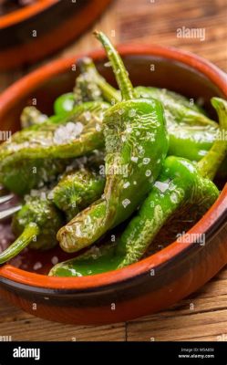 Pimientos de Padrón: Un trionfo piccante e sfizioso di sapori rustici!